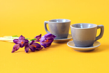 Obraz na płótnie Canvas Two gray coffee cups with a bouquet of purple crocuses on a yellow background, space for text