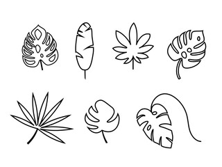 Set of exotic tropical leaves. Monstera, palm, banana. Vector stock illustration for poster or card