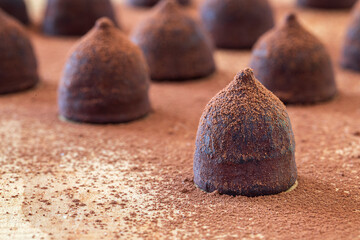 Group of small truffles chocolate pastry with cocoa powdered.