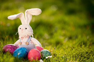 Easter bunny sitting in the grass.  © Daniel