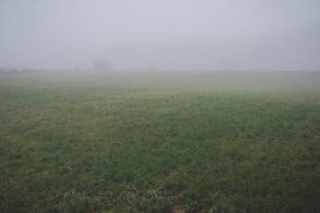 Obraz na płótnie Canvas fields hidden in a fog