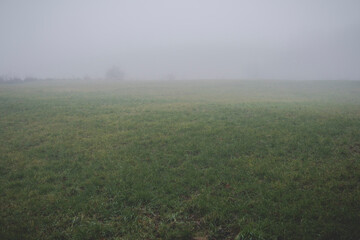 Fototapeta premium fields hidden in a fog