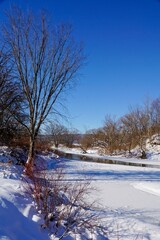 Robert V. Riddell State Park in Upstate New York