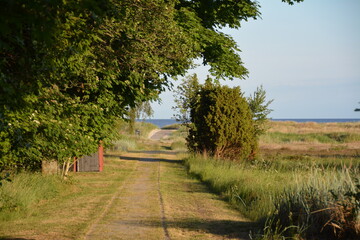 path in the park