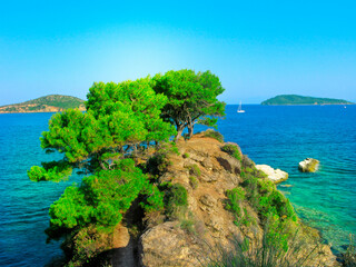 Greece, Skiathos island, seascape with pine trees on rocky cliff