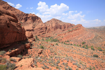 Red Cliffs Recreation Area in Utah, National Conservation Lands, USA