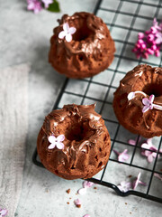 Baking, lilac, spring. Delicious sweet chocolate cupcakes with cream on top. Filled with chocolate. Surrounded by fresh lilacs. On a concrete countertop. Gray background. Space for the text. Content.