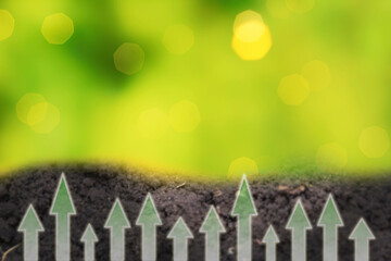 Fertile loam soil suitable for planting with green bokeh.