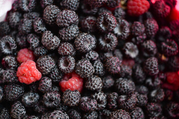 Background of fresh ripe blackberries
