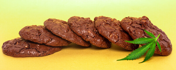 oatmeal cookies and green leaf of cannabis on a yellow background. marijuana cookies panorama