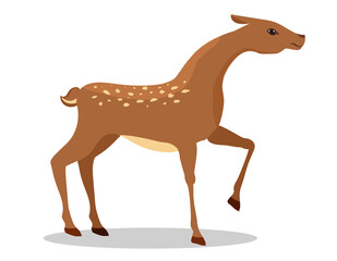 Deer vector illustration isolated on white background.