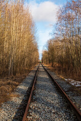 Fototapeta premium Railway in the forest