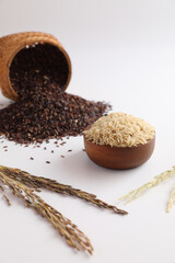 Organic raw brown rice and riceberry rice in close up