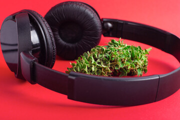 listening to music under marijuana,recreational cannabis.