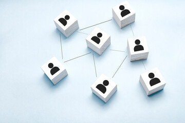 Organization structure, team building, recruitment, business management and human resources...