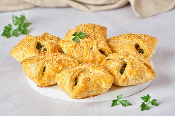 Puff pastry filled with spinach, chicken and cheese. Closeup