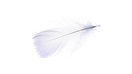 Obraz premium Feather macro. Multicoloured pastel angel feather closeup texture isolated on white background in macro photography, soft focus. Abstract. Coral pink color trends and vintage.