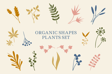 Fototapeta na wymiar Vector set of abstract plants, leaves, organic shapes. Hand drawn minimalistic design for banner, cover, wallpaper, textile, stories background decoration.