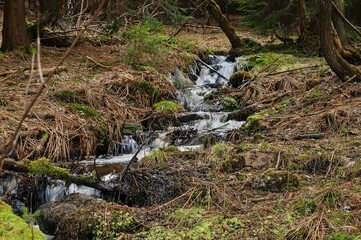 A small stream in the autumn forest.
