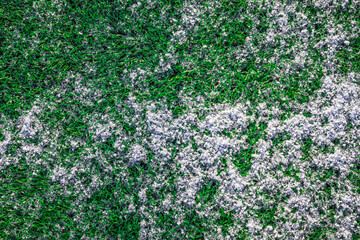The football field with artificial green grass is covered with a light layer of snow. Early spring. Green grass on the football field is visible from under the snow. Amateur football field.
