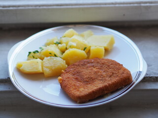 Czech food smazeny syr roasted cheese