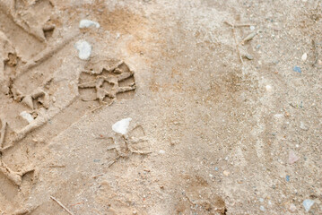 Footprint of a large male boot on wet ground. The beginning of spring field work. Farmer...