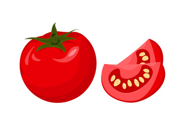 Tomato isolated on white background. Tomato vegetable cutaway. Vector illustration