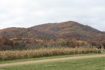Fototapeta na wymiar Virginia's Blue Ridge Mountains in the fall of 2013