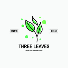 three leaf logo vector template