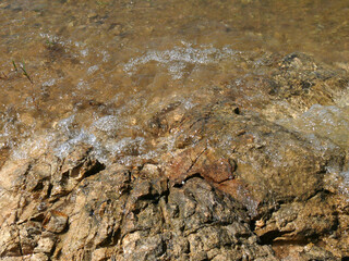 Vue d'eau claire de rivière