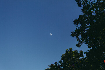 moon in the sky