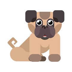 cheerful little doggie pug sits on new background