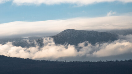 mountains in the fog