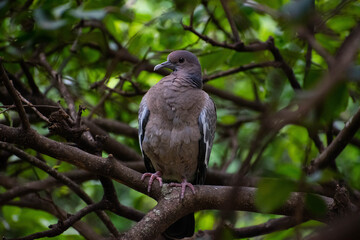 una agradable visita 