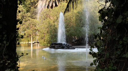 fuente de agua entre árboles con patos en laguna