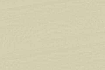 Fototapeta premium light beech wooden background texture structure backdrop