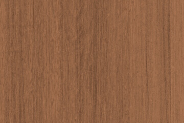 Fototapeta premium brown oak tree timber wood surface texture background wallpaper
