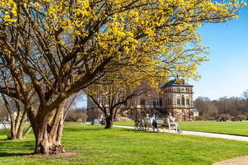 Fototapeta na wymiar The Grand Garden Palace in Dresden. Spring in the park