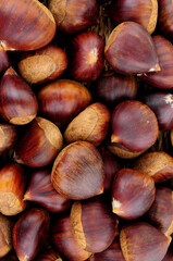 Fresh ripe uncooked Spanish chestnuts in shells background