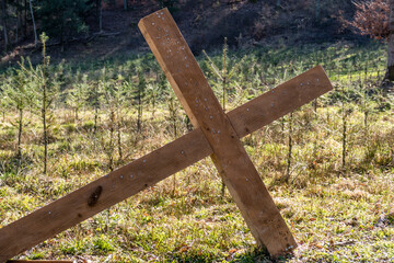 Christliche Holzkreuze im wiederaufforstenden Wald