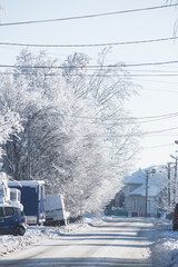 Fototapeta premium Small streets and trees in town covered in snow