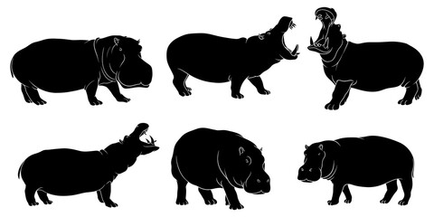 hand drawn silhouette of hippopotamus