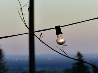 Obraz premium light bulb fairy light at sunset