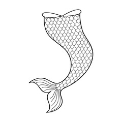 Hand drawn mermaid tail isolated on white background. Doodle element for sea party, greeting or invitation card. Design for clothing print. Outline vector illustration.