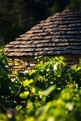 Cabotte en pierres dans les vignes de Morey-Saint-Denis, Côte de Nuits, en Bourgogne
