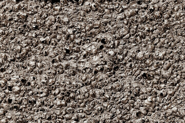 Obraz premium aluminum alu foam bubble metal plate wallpaper background