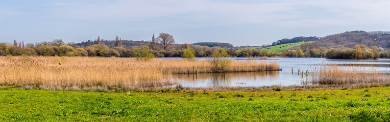 A view across marsh land on the outskirts of Nottingham, UK on a sunny spring day