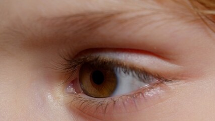 Highly detailed macro shot opening, closing brown color pigmentation eyes of little girl. Slow motion of children eyes. Human eye iris opening pupil. Eyeball of child looking intro distance close-up