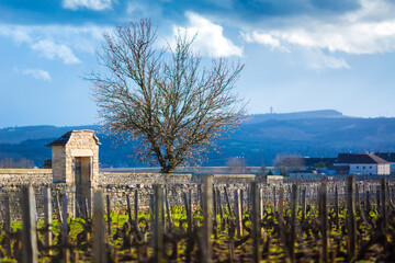 Porte Montrachet dans les vignes de Puligny-Montrachet en Bourgogne
