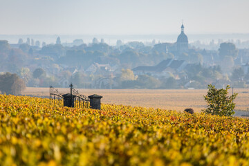 Porte du Clos des Mouches et clocher de Beaune, dans les vignes en automne en Bourgogne